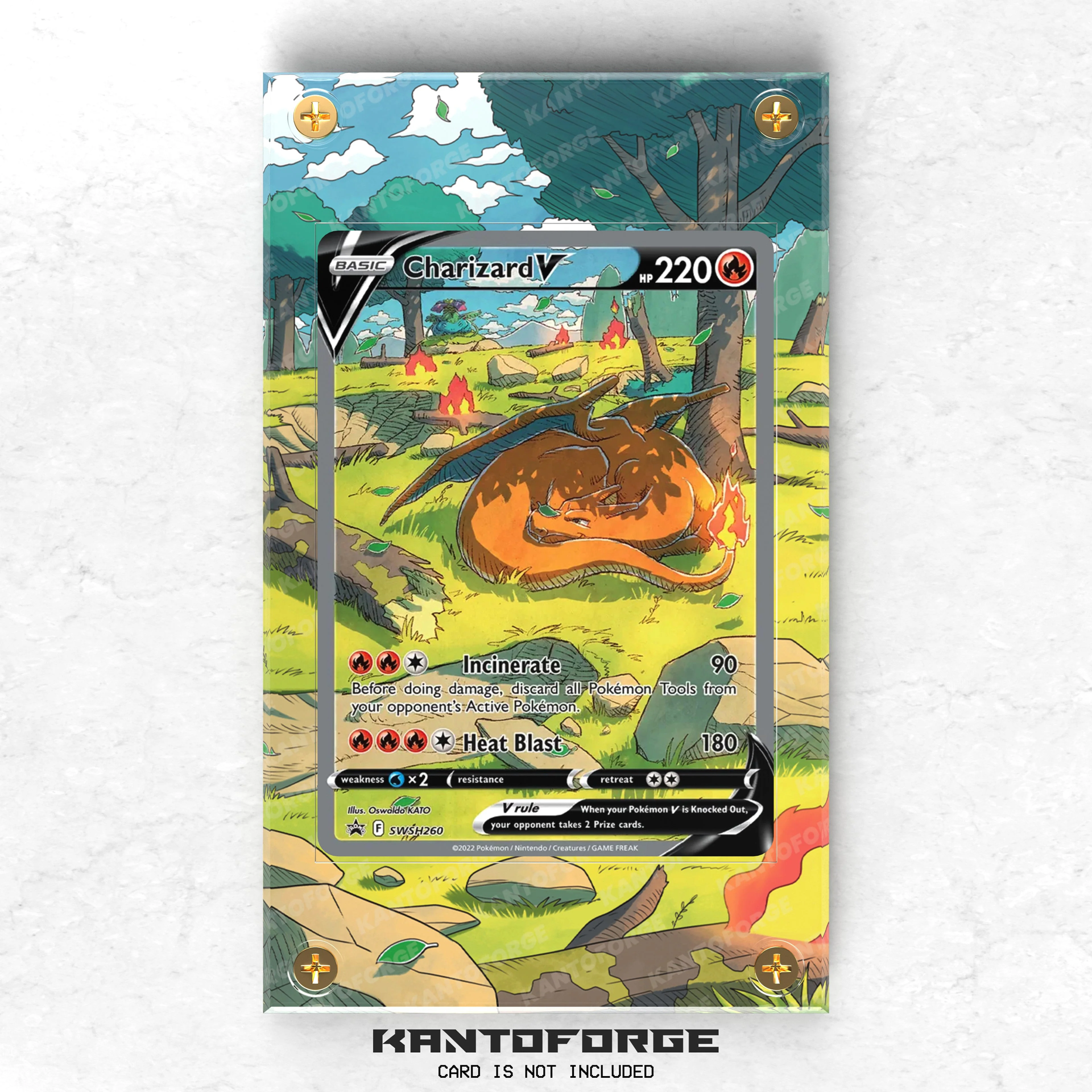 Charizard V SWSH260 - Pokémon Extended Artwork Display Case