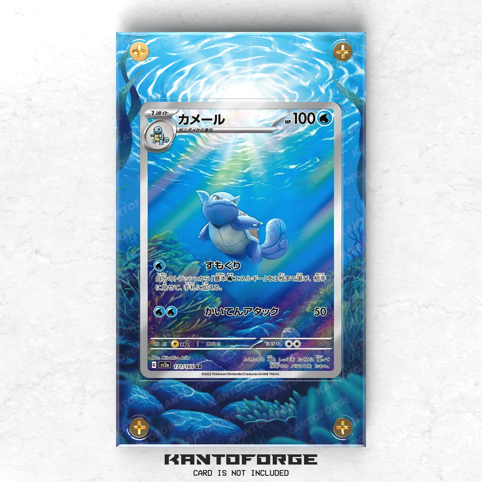 Wartortle 171/165 - Pokémon Extended Artwork Display Case