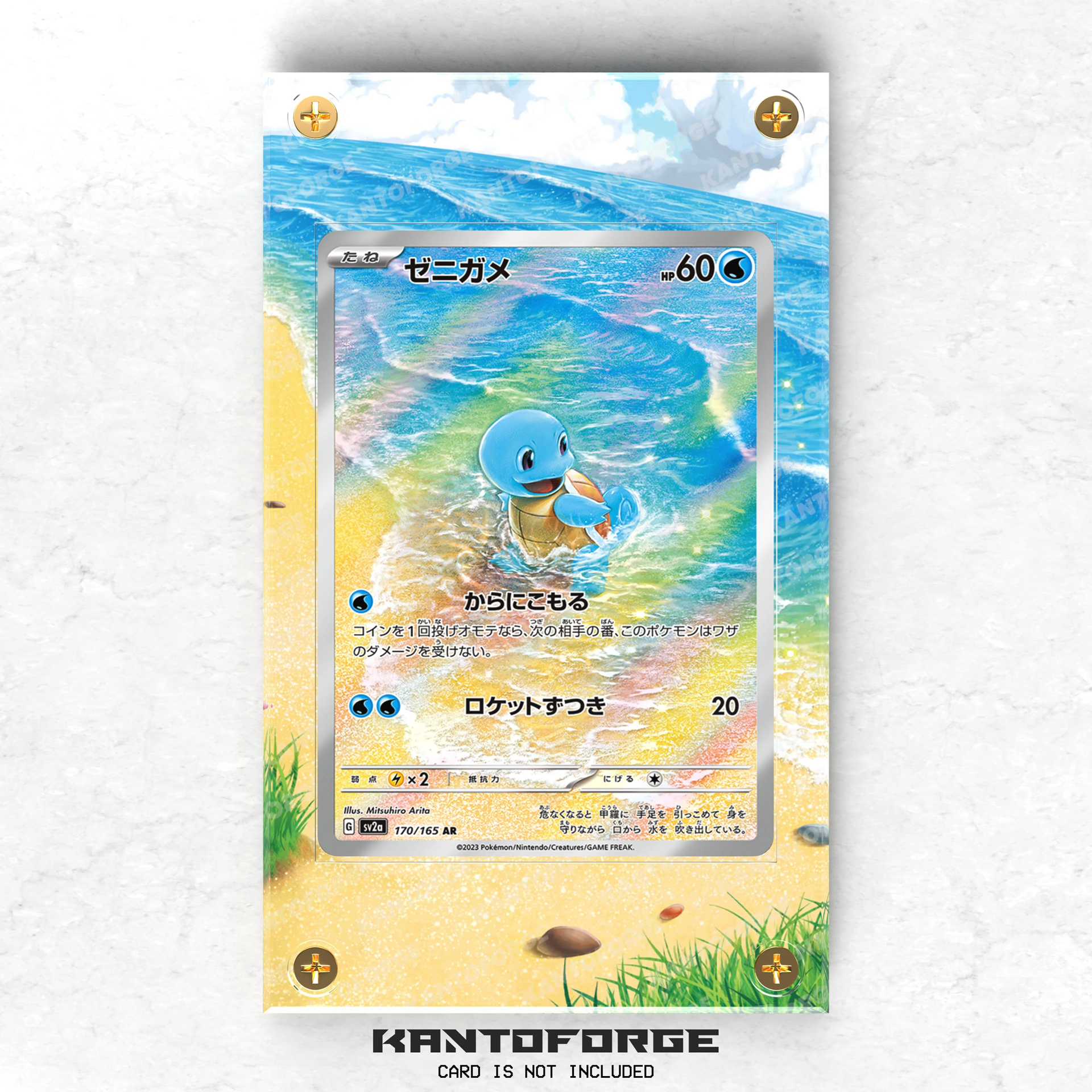Squirtle 170/165 - Pokémon Extended Artwork Display Case